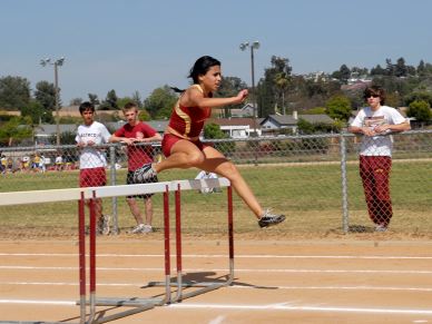 Marina Hurdles I.jpg
